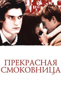 Прекрасная смоковница 2008