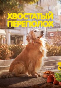 Хвостатый переполох 2024