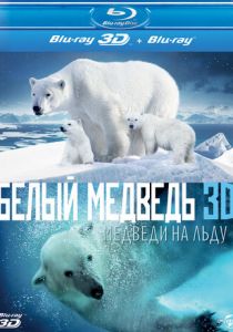 Полярные медведи 2012