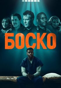 Боско 2024