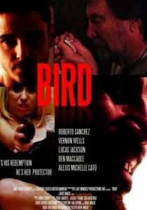 Bird 2020