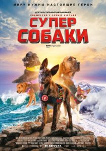 Суперсобаки 2019