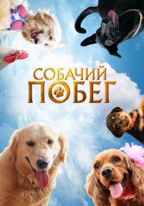 Собачий побег 2023