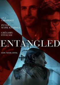 Entangled 2019