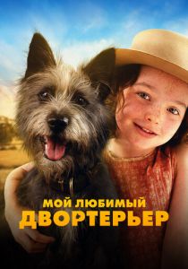 Мой любимый двортерьер 2024