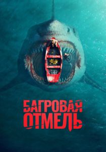 Багровая отмель 2025