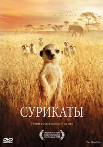 Сурикаты 2007