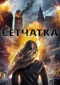 Сетчатка 2017