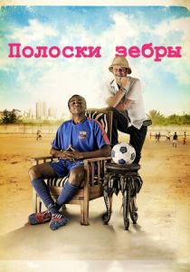 Полоски зебры 2013