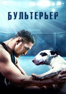 Бультерьер 2022