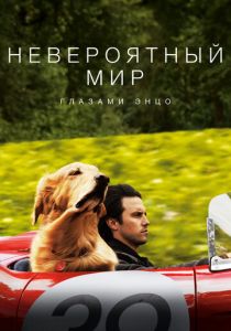 Невероятный мир глазами Энцо 2019
