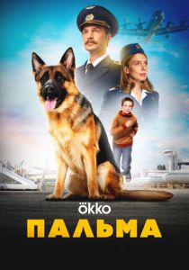 Пальма 2020
