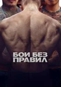Бои без правил 2017