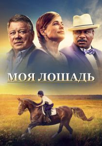 Моя лошадь 2016