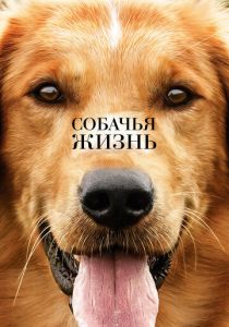 Собачья жизнь 2017