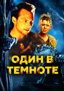Один в темноте 2004