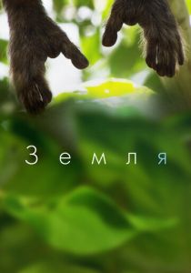 Земля 2015