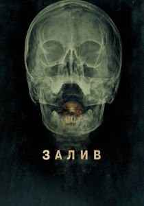 Залив 2012