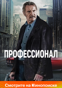Профессионал 2024