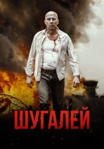 Шугалей 2020