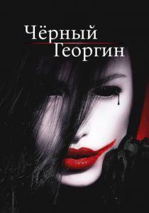 Чёрный георгин 2012