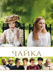 Чайка 2017