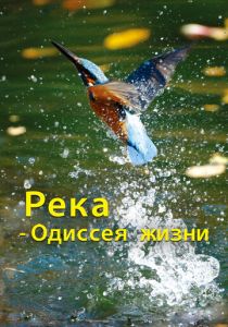 Река - одиссея жизни 2013