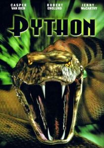 Питон 2000