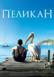 Пеликан 2011