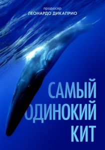 Самый одинокий кит 2021