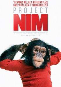 Проект «Ним» 2011