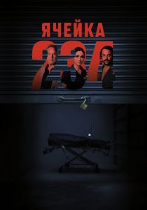 Ячейка 234 2023