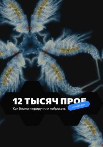 12 тысяч проб 2022