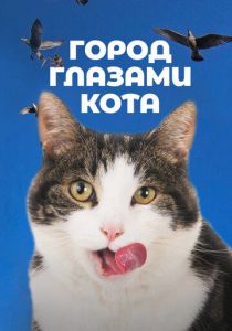 Город глазами кота 2018