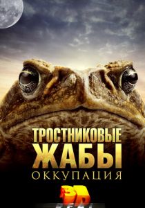 Тростниковые жабы: Оккупация 2010