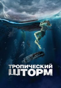 Тропический шторм 2022