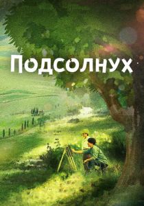 Подсолнух 2017