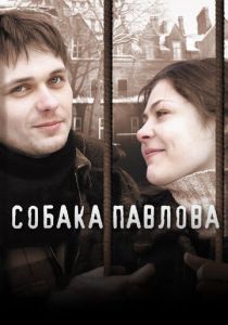 Собака Павлова 2005