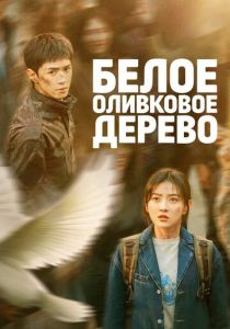 Белое оливковое дерево (2025 Сериал)