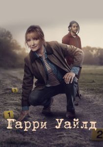 Гарри Уайлд (2022 Сериал)