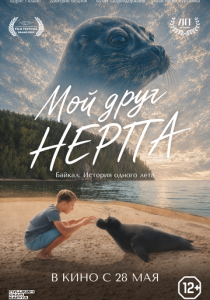Мой друг нерпа (2025 Фильм)